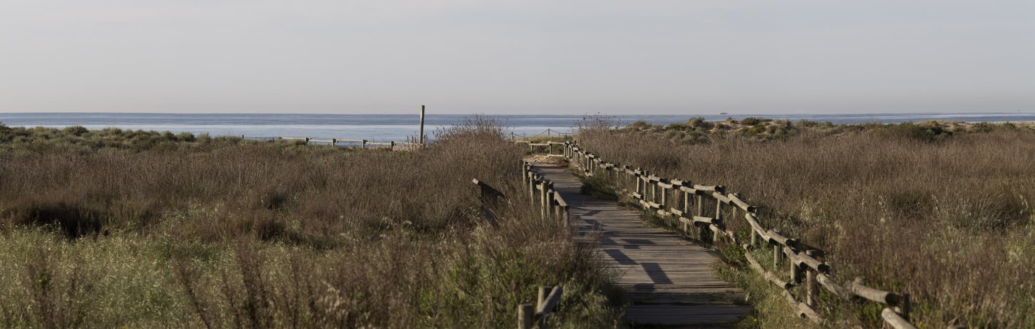 Jubilats i Gent Gran — 1