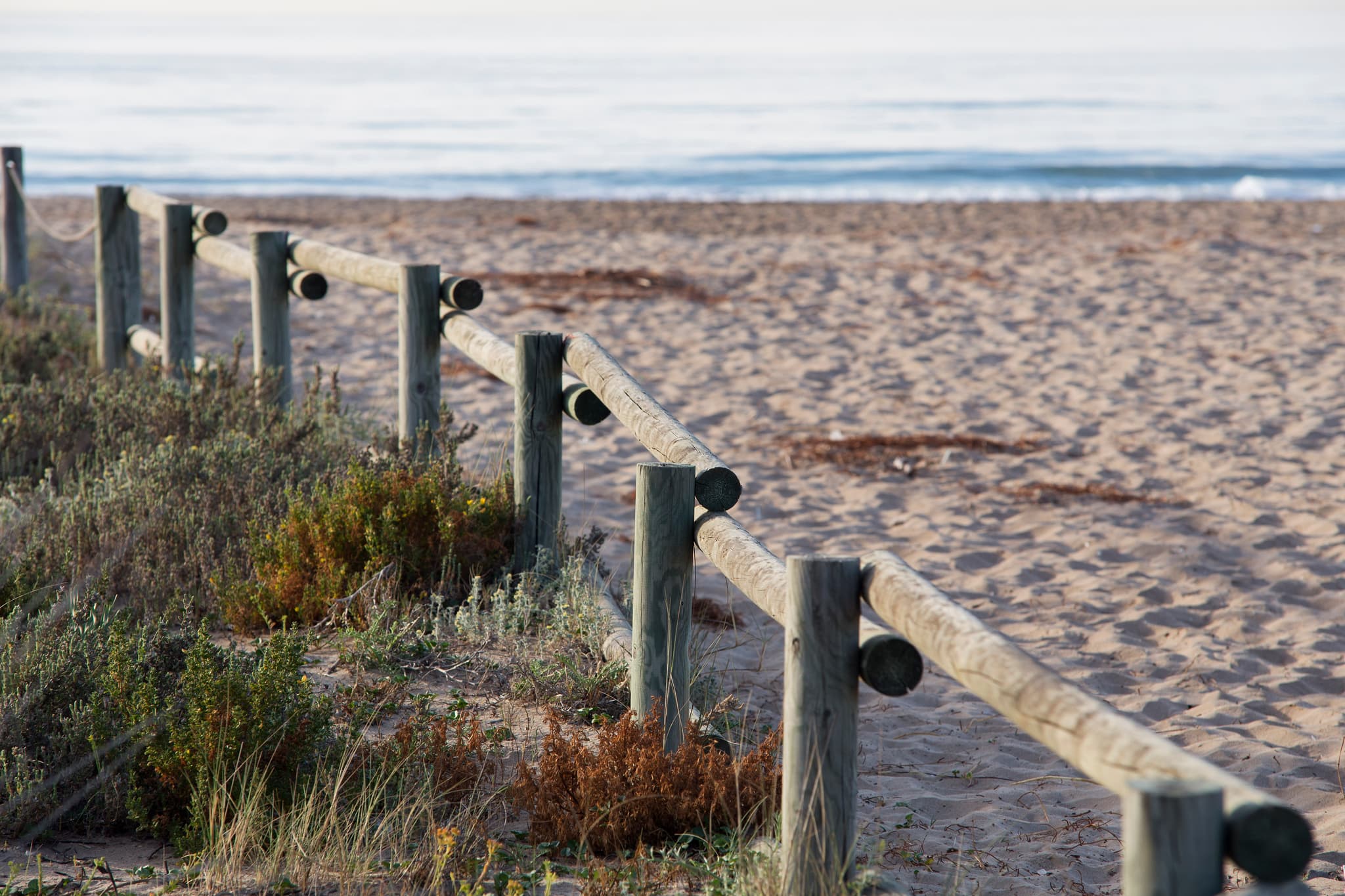 Propriétaires d'Animaux — 2