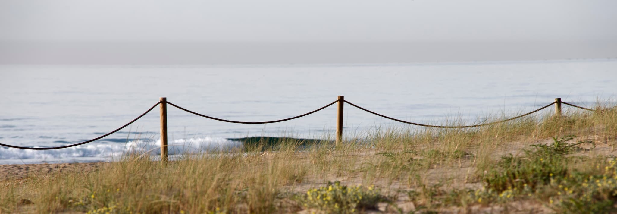 Propriétaires d'Animaux — 1