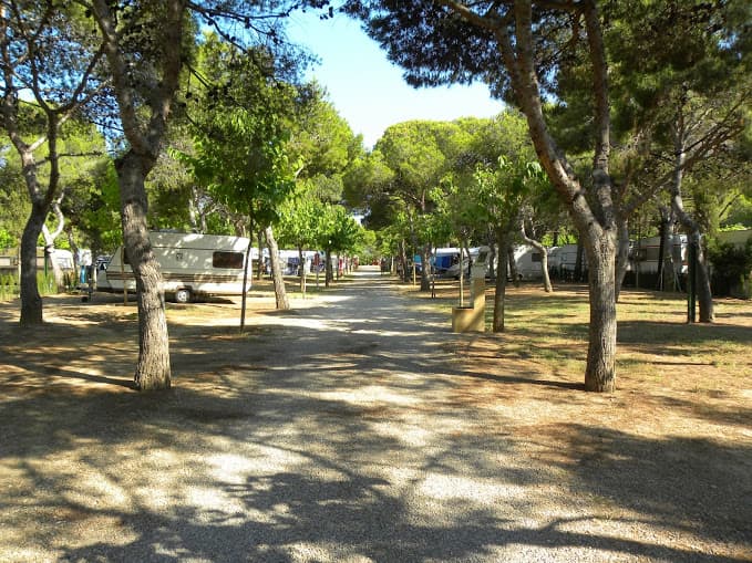 Propriétaires d'Animaux — 4