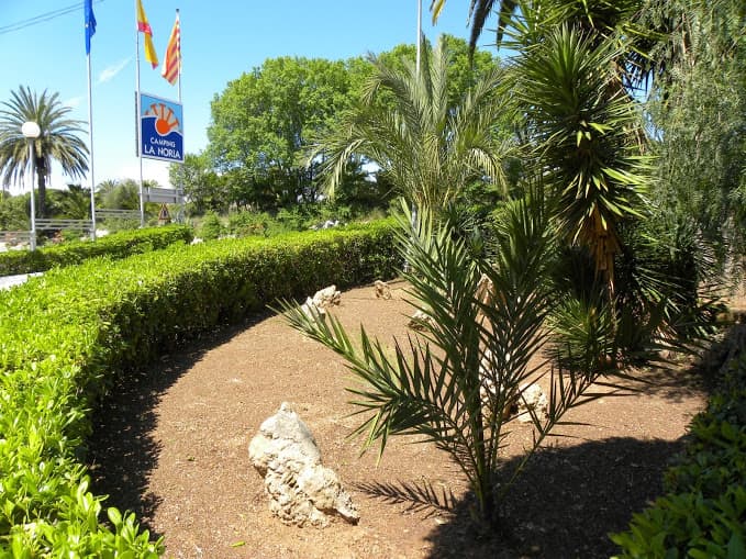 Propriétaires d'Animaux — 6