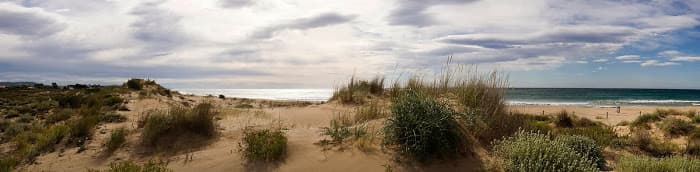 Propriétaires d'Animaux — 8