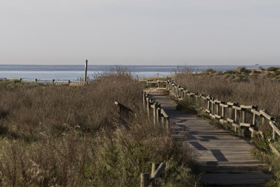 Hostes d'Estada Llarga i de Temporada — 1