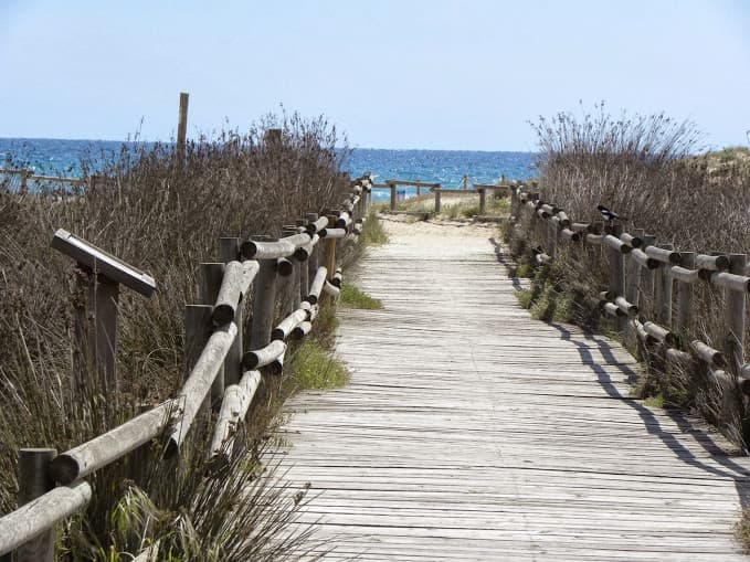 Propriétaires d'Animaux — 3